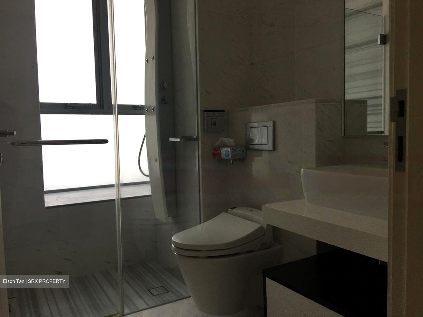 Lincoln Suites (D11), Condominium #458689961
